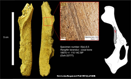 uchenie pokazali rukotvornuju drevnost Ameriki i nerukotvornoe sozdanie termitami afrikanskih krugov
