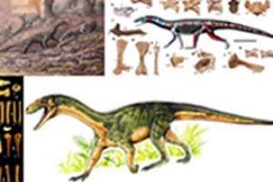 Teleocrator имел родственников динозавра