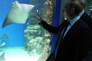  Путину на ВДНХ показали дельфинов-косаток