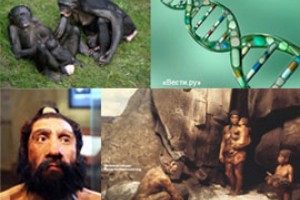 Homo в человека вывел лишний ген