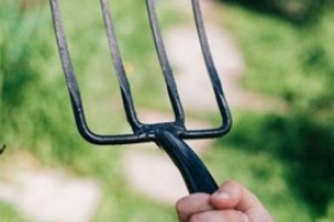  Виловой агрессор в Вурман-Янишево получил условно