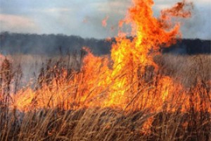 Ликвидировали горение в Тойдеряки и ДТП в Чебоксарах