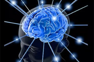 Сетчатка опережает мозг в оценке яркости 