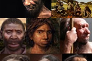 Стойкость краев начали неандертальцы