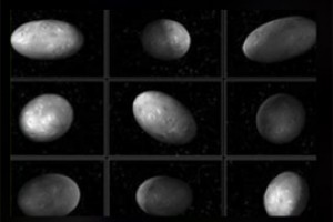 Спутники Плутона идут в орбите синхронно
