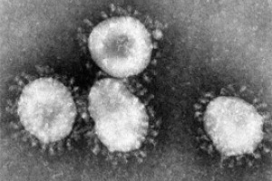 Вирус берет свое ростом заболевших