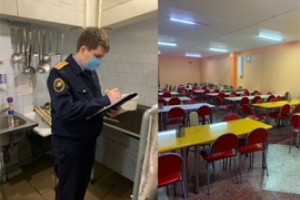 197 школьников Новочебоксарска подкосила болезнь