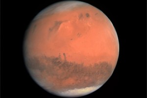 Уходили воды Марса и грибы от животных