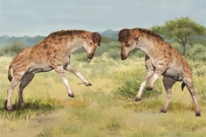 В игрищах 15 млн лет назад открыли длинную шею