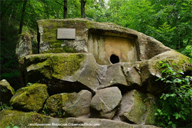 Uchenye otsledili raznosti nejronov s dolmenami