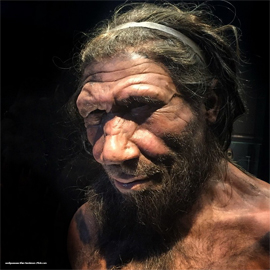 Sinhronnost zvezdoobrazovaniya raskroyut posle tajn prihoda Homo sapiens k neandertalcam1