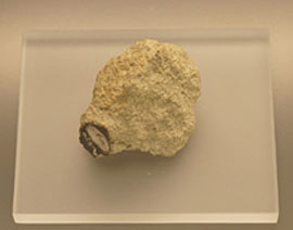 meteorit shassinji